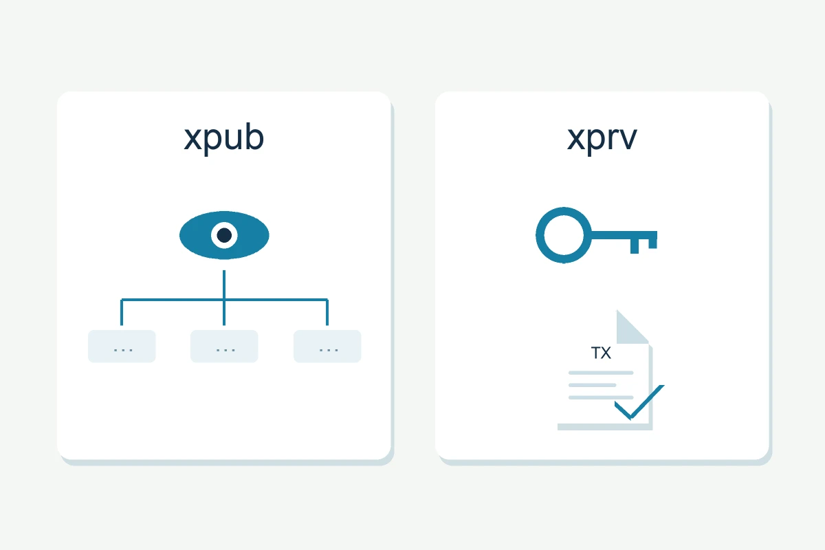 Afzonderlijke panelen voor xpub en xprv: een oog met adrestakken voor inzage en een privésleutelsymbool met een ondertekende transactie